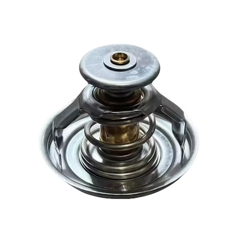 Thermostat motè kamyon 1000837830